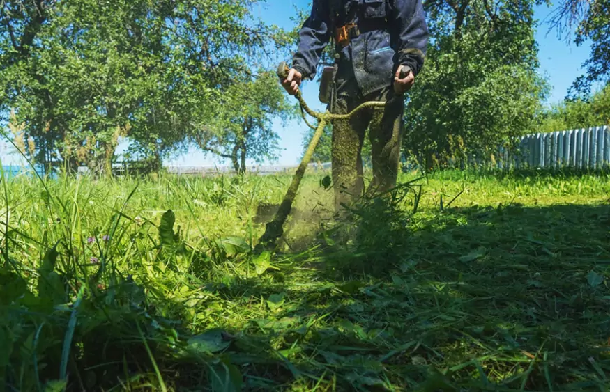 Devis débroussaillage Val d'Oise