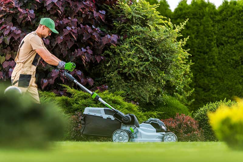 jardinier/paysagiste qui passe la tondeuse dans un jardin 