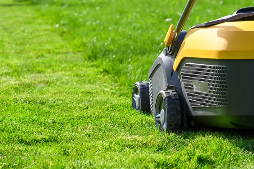 Besoin d'un jardinier-paysagiste pour tondre votre pelouse ? Contactez nous
